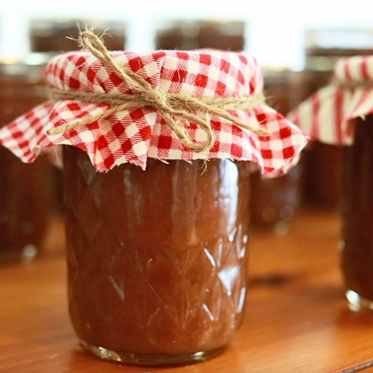 half pint jar of apple butter with a red gingham jar topper